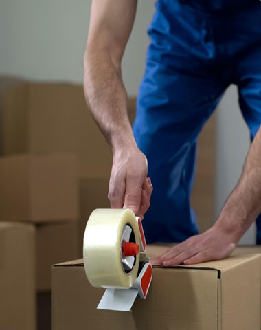 services 03 free img